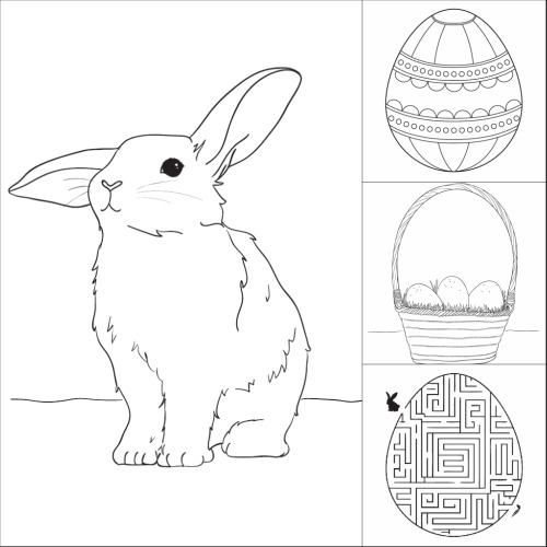 planse desene de colorat cu iepuri